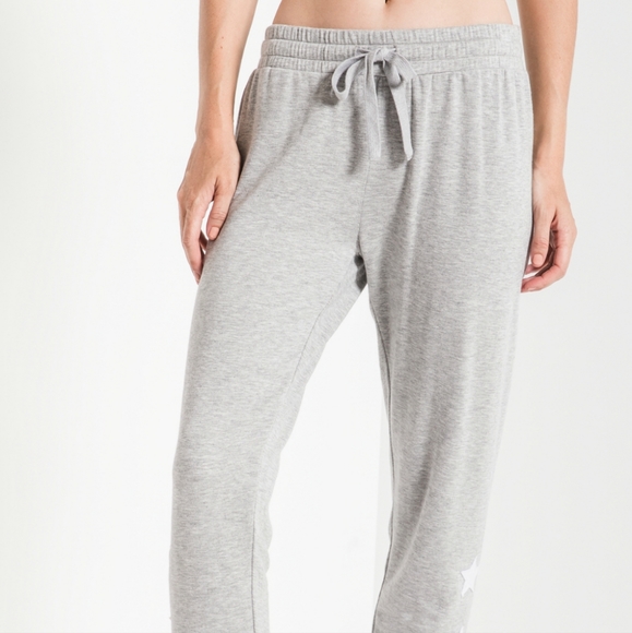Z Supply Linear Star Soft Jogger- Women's Small - Picture 3 of 11